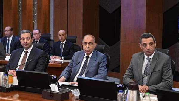 محافظ المنيا