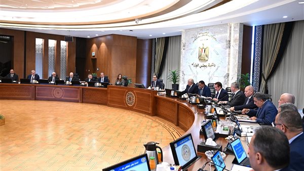 اجتماع الدكتور مصطفى