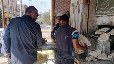 حملات للتفتيش على الأسواق والمخابز التموينية في الشرقية | صور