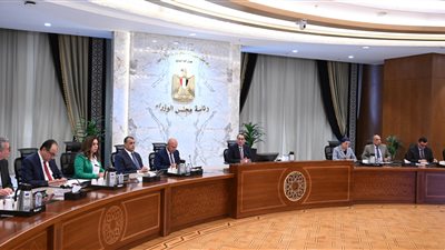 الحكومة تدرس إنشاء مجلس ثقافي مصري للقوة الناعمة