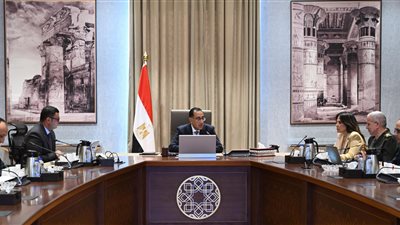 الحكومة توافق على تحويل معهد ناصر إلى مدينة طبية