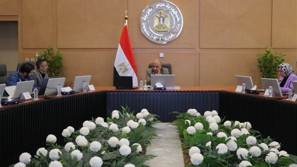 وزير الكهرباء