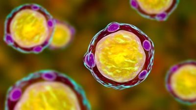 طفيليات الأمعاء تحافظ على صحتك وتخفض معدلات السمنة | دراسة 