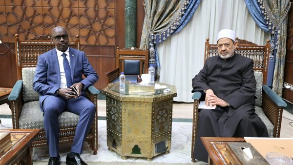 الدكتور أحمد الطيب