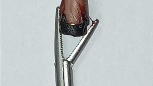 استخراج سماعة غش