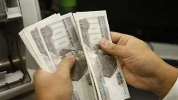 خطوات الاستعلام عن