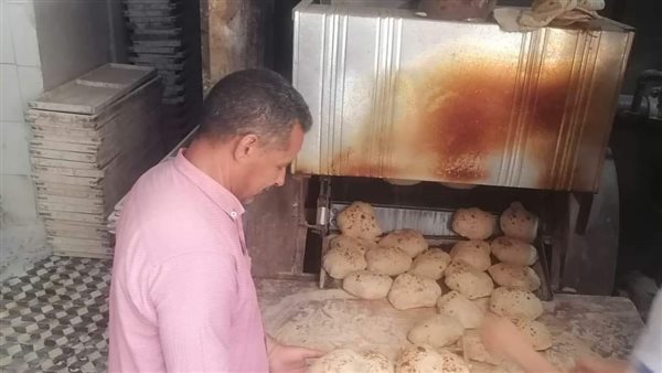 حملات تفتيشية بالمنيا