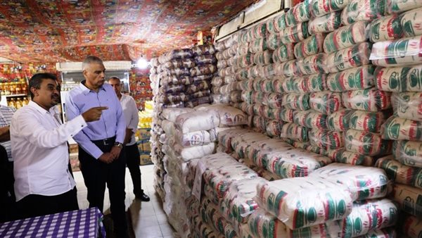 محافظ أسوان