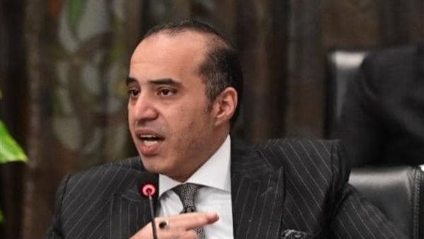 المستشار محمود فوزي