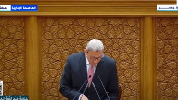 أحمد سعد الدين، وكيل