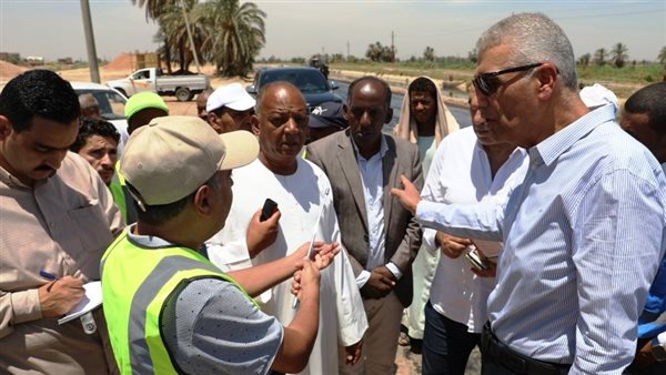 محافظ أسوان