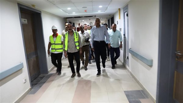 محافظ أسوان