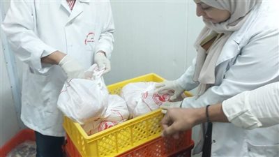 ضبط نصف طن لحوم ودواجن مجهولة المصدر في الشرقية| صور