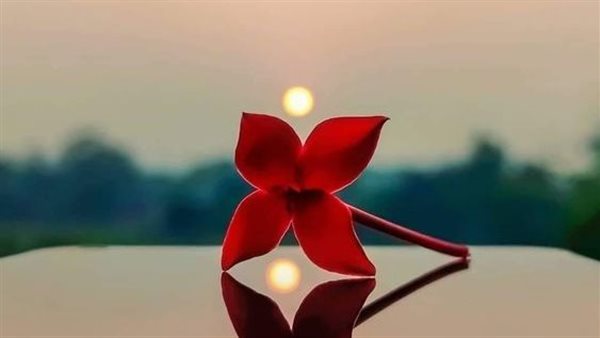 خلفيات واتس آب طبيعية