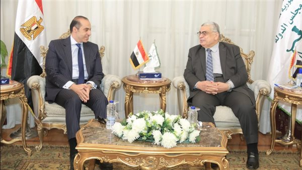  المستشار أحمد عبدالحميد