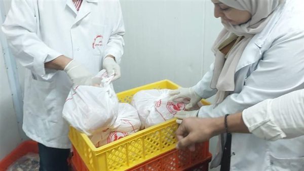 جانب من المضبوطات