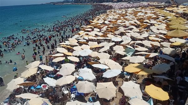 شاطئ إسكندرية 