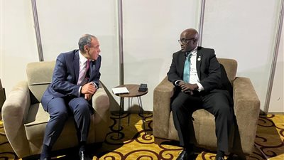 وزير الخارجية يلتقي نظيره الرواندي لبحث العلاقات الثنائية
