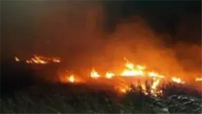 حريق يلتهم 10 أفدنة برسيم بالوادي الجديد.. والحماية المدنية تخمده