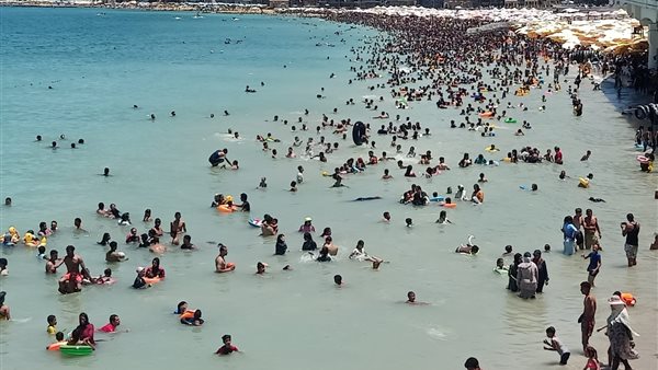 شواطئ الإسكندرية