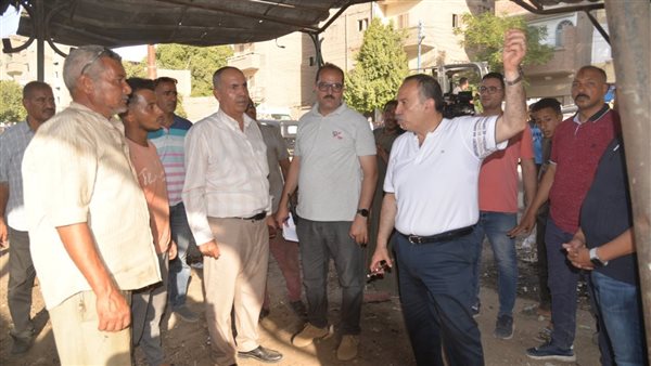 محافظ أسيوط