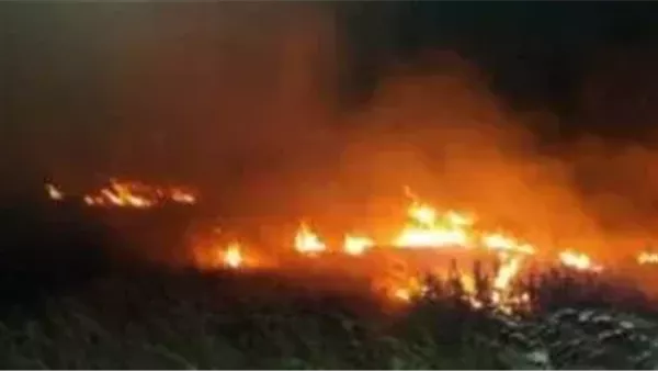 حريق - أرشيفية 