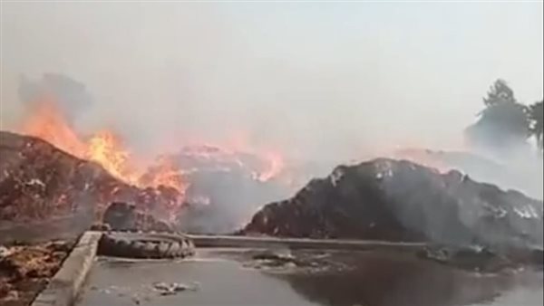 حريق هائل في شونة