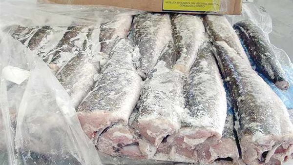 أسعار الأسماك