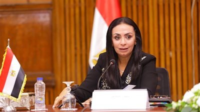 وزيرة التضامن تلتقي أعضاء الهيئة البحثية بالمركز القومي للبحوث الاجتماعية والجنائية