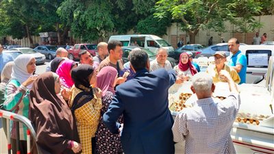 الزراعة تطرح كميات من البيض بسعر 120 جنيها للكرتونة في 7 محافظات