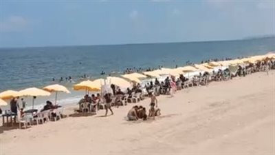 رفع الرايات الخضراء والصفراء بشواطئ الإسكندرية.. والمصايف: يجب التأكد من سعر الدخول على التذاكر