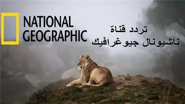 تردد قناة ناشيونال