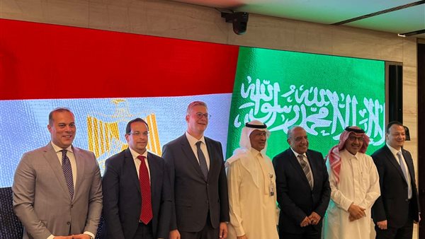 وزير الكهرباء في