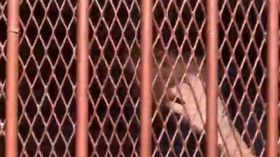 الإعدام شنقا لقاتل والده ببورسعيد