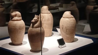 متحف التحنيط بالأقصر يلقي الضوء على 4 أواني كانوبية لـ أحد القادة العسكريين | صور 