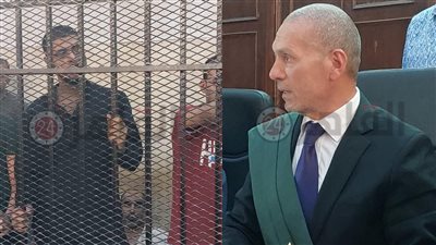 ننشر حيثيات الحكم بالمؤبد على قاتل زوجته الحامل بالغربية| خاص