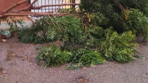 خسائر تداعيات الطقس