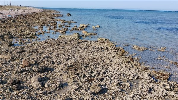 انحسار المياه 