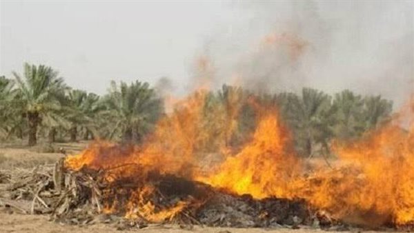 حرق مخلفات زراعية