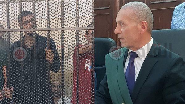 محكمة جنايات المحلة