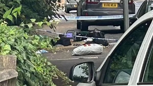 حادث طعن ضابط بريطاني