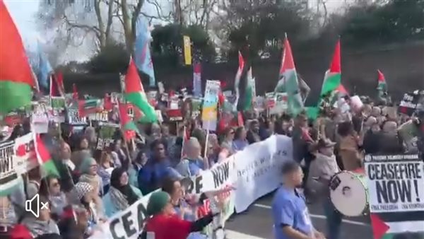 مظاهرات داعمة لفلسطين
