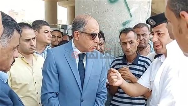 محافظ المنيا