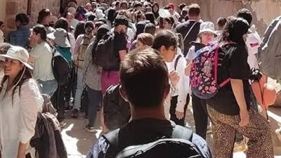 سانت كاترين تستقبل 469 سائحًا لزيارة المقدسات الدينية