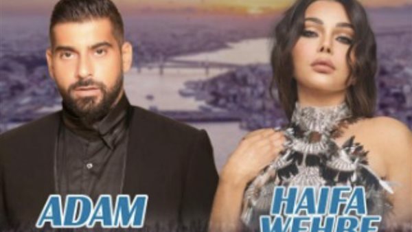 هيفاء وهبي والمطرب