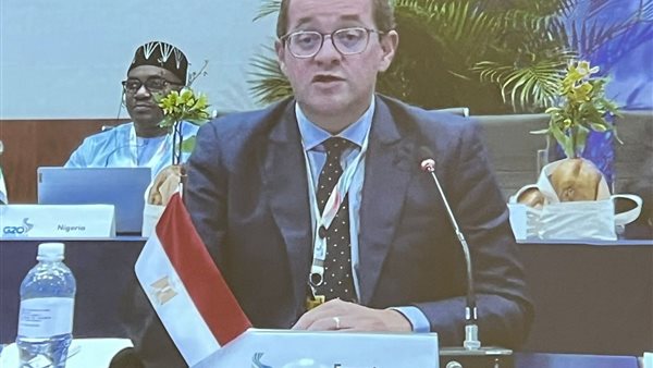 وزير المالية