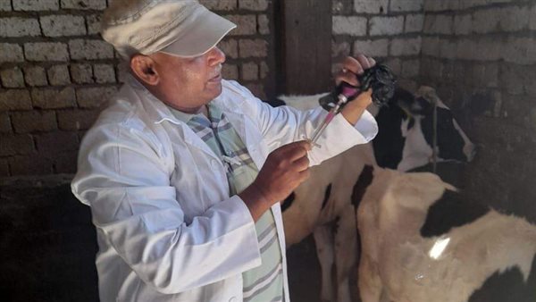 بيطري المنيا 