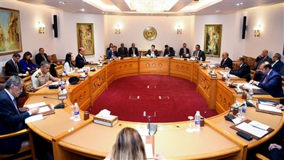 إنهاء حالة الطوارئ وتطوير السجون الأبرز.. بماذا استعدت مصر لمراجعة ملف حقوق الإنسان أمام الأمم المتحدة؟