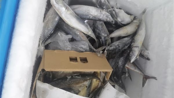 جانب من المضبوطات