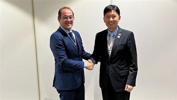 وزير المالية المصري